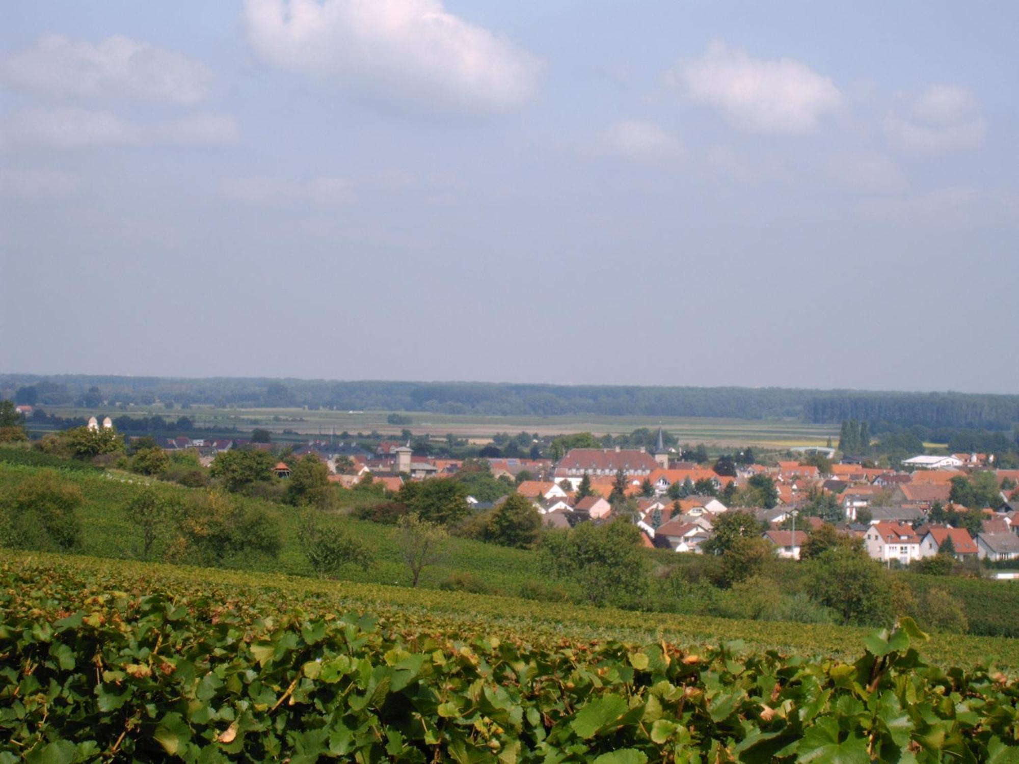 Gaestehaus Guntersblum Exteriör bild